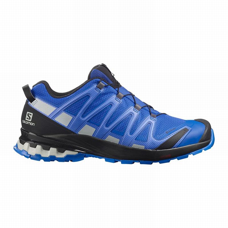 Buty Do Biegania W Terenie Męskie Salomon XA PRO 3D V8 GORE-TEX - Czarne / Niebieskie - Polska (304-